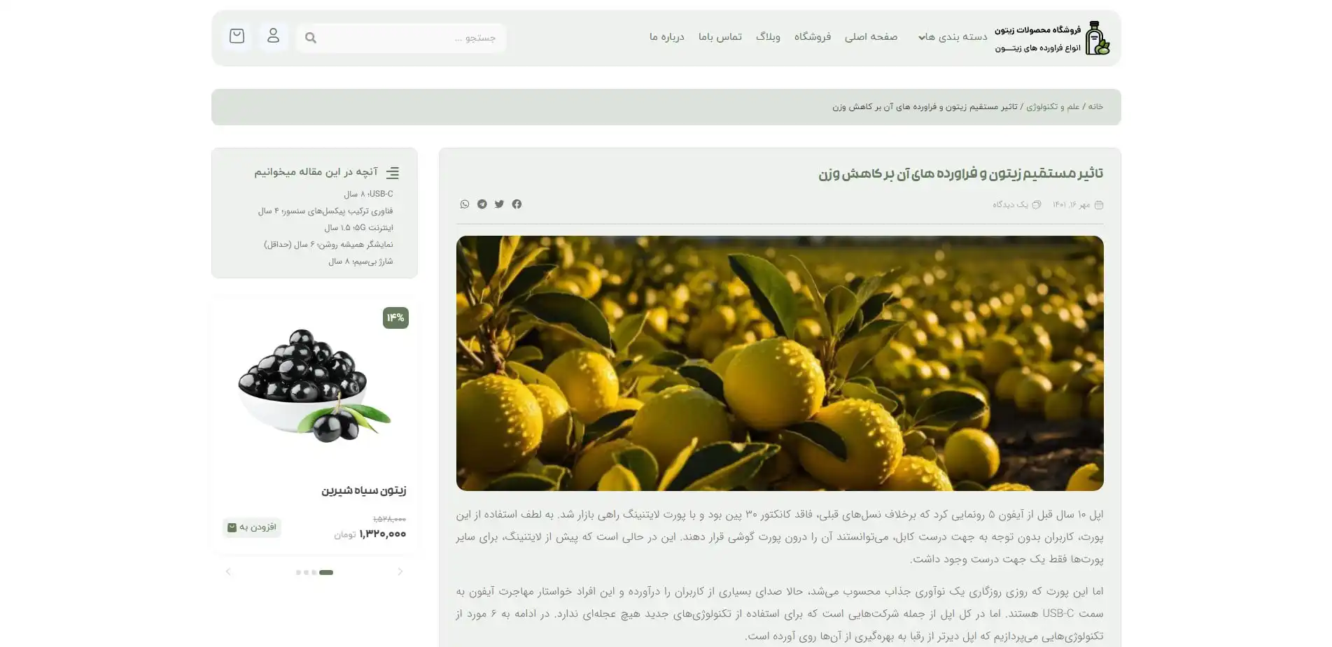 طراحی سایت فروش اینترنتی زیتون