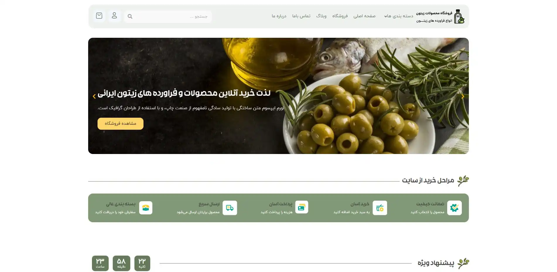 طراحی سایت فروش اینترنتی زیتون