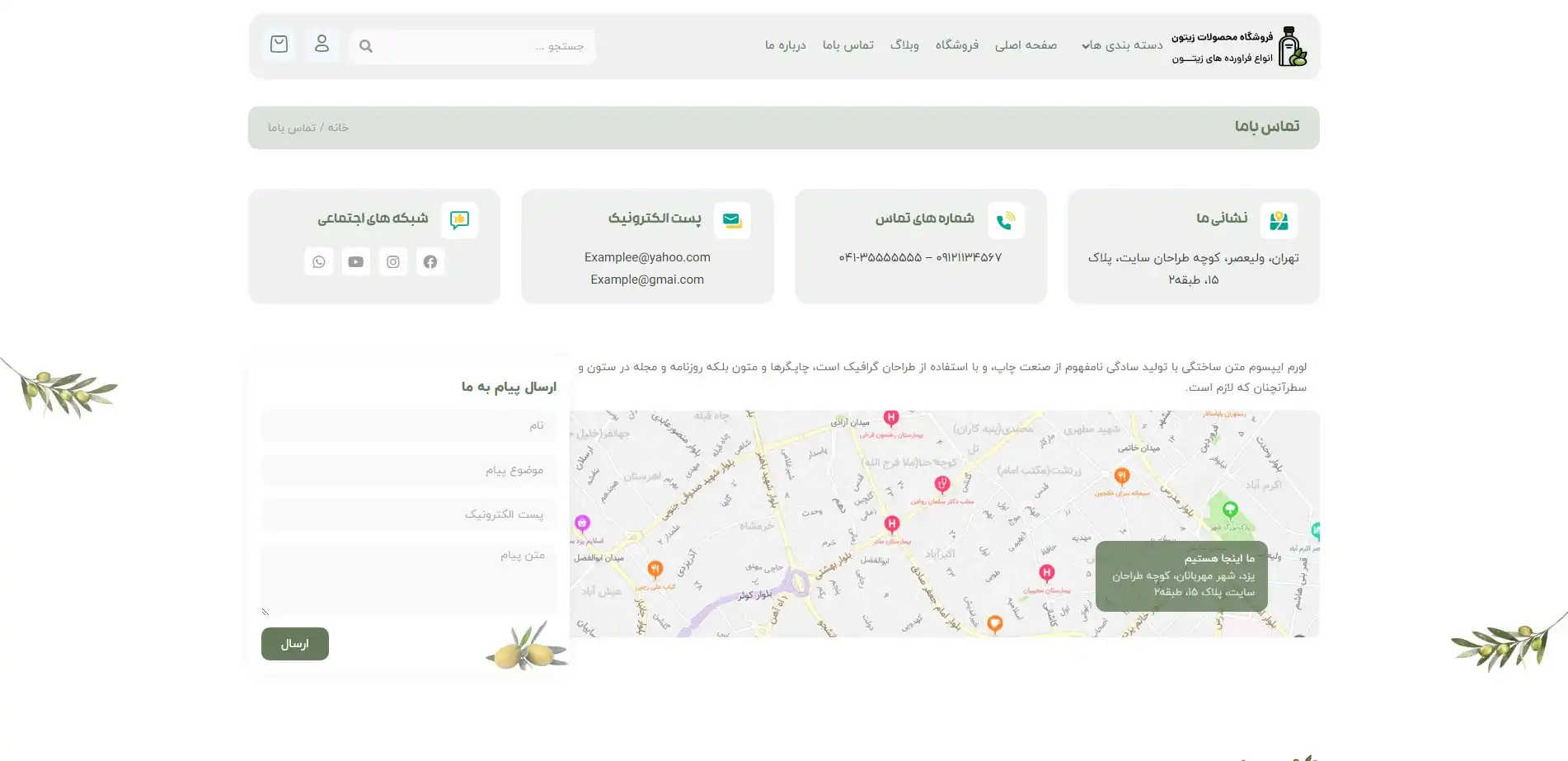 طراحی سایت فروش اینترنتی زیتون