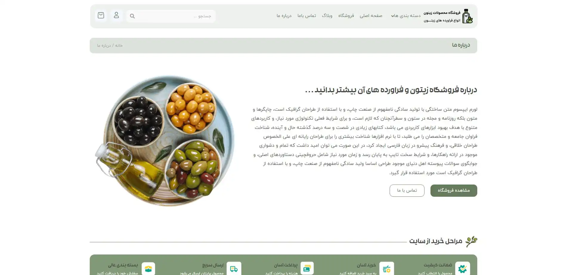طراحی سایت فروش اینترنتی زیتون